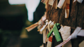 An image of a sacred tree in Japan wrapped in colorful green, red, and white ribbon that indicate a Kami or a God's spirit inhabits this specific tree. 