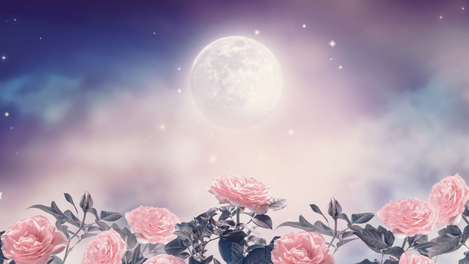3 Full Moon Rituals to Try – Chai Bunny