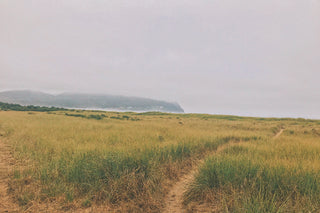 Oregon Coast Best Places to Perform Magic Green Witch