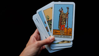 Tarot Advice for Your Week Ahead 12/15-12-22: The Page of Wands