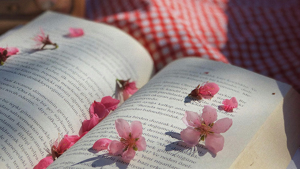 An open book lies in natural light, its pages adorned with delicate pink cherry blossoms—a symbol of spring and renewal. The blossoms evoke the spirit of the Pink Moon, representing transformation and depth as found in Scorpio's influence.