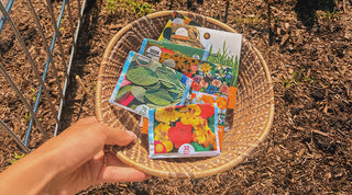 Woman holding a basket filled with plant, herb, and flower seed packets, standing before raised garden beds, representing the theme of 'Plant a Seed, Cultivate a Dream: A Green Guide to Magical Self-Manifestation
