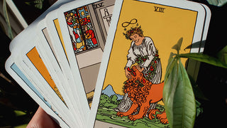 Image of the Strength Card Major Arcana in Tarot against a leafy backdrop