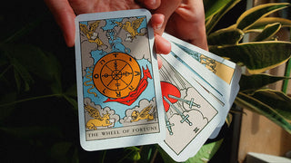 a photograph of the raider-waite wheel of fortune card in reversed against a shadwoy background 