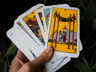 an image of the Raider Waite Four of Wands card against a dark moody background of houseplants.