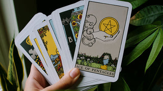 An image of the Ace of Pentacles from the Raider-Waite Tarot deck against a lush green background of house plants