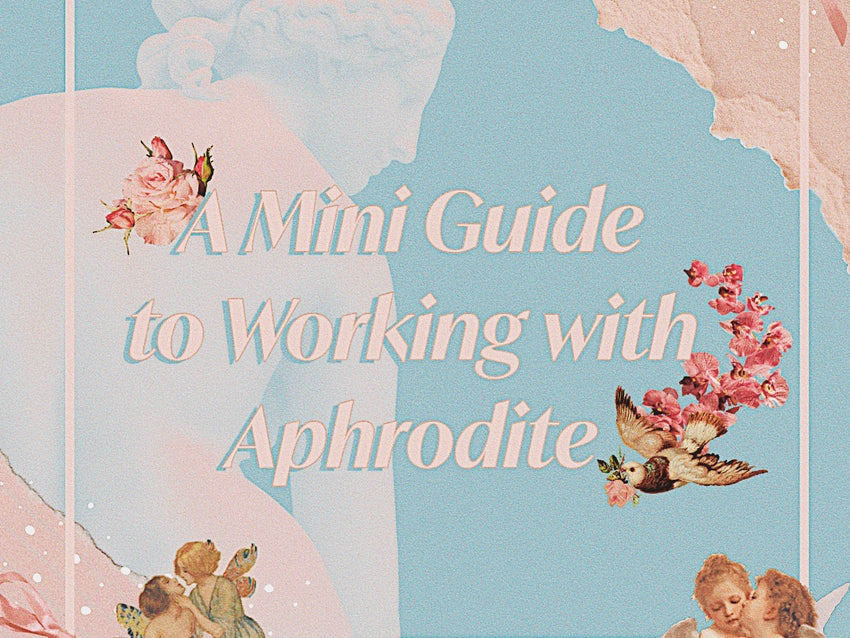 A Mini Guide to Working with Aphrodite Chai Bunny