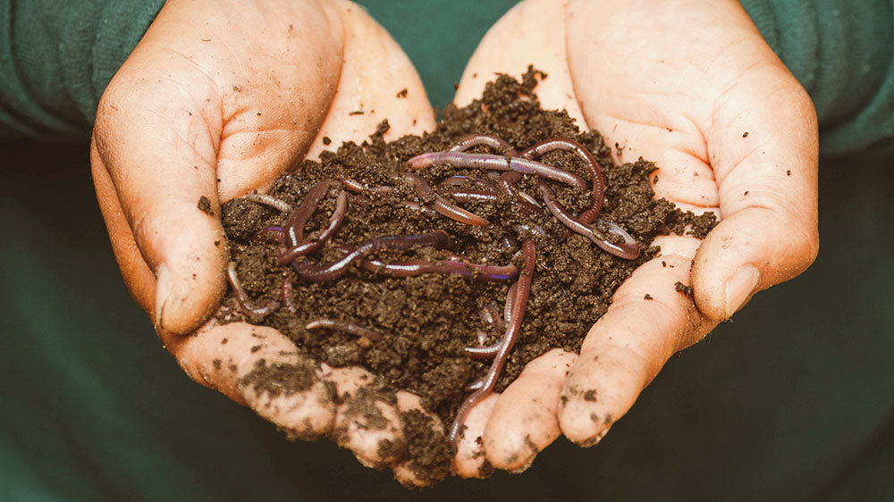 A pair of hands holding rich, dark soil with earthworms, signifying fertility, renewal, and the cycle of life.