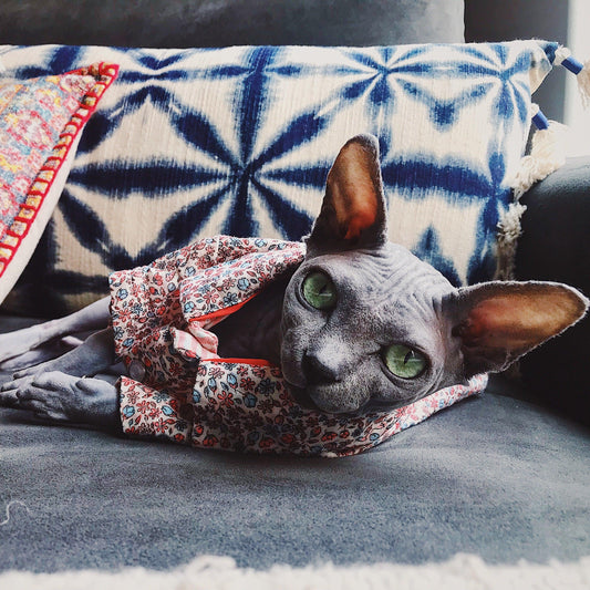 Sphynx cat in floral shirt lounging on boho eclectic pillows, gazing with enchanting green eyes - a symbol of the mystical bond between witches and their familiars